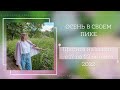 ОСЕНЬ В СВОЕМ ПИКЕ. Прогноз на неделю с 17 по 23 октября 2022 года