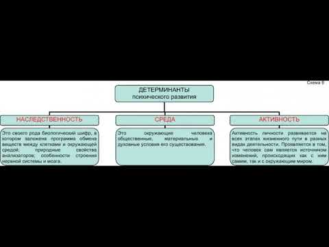 14. Детерминанты психического развития ребенка. Взаимосвязь обучения и развития. ГОСЫ по психологии
