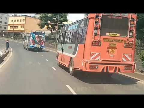 River Road, Khoja Stage, Ngara Fig Tree, \u0026 Museum Hill