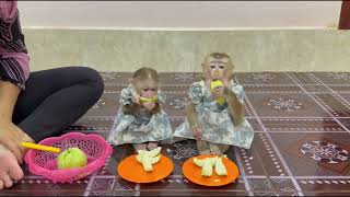 Sister Jula \& Kobie Sit Eating Guava Together Very Sweet \& Juicy ,