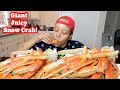 GIANT SNOW CRAB LEGS, SAUSAGE, RICE, CUCUMBER MUKBANG!!