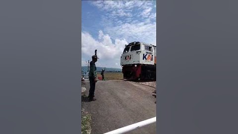 Menjaga Perlintasan 👍@omiyoomiyo-nk9bf