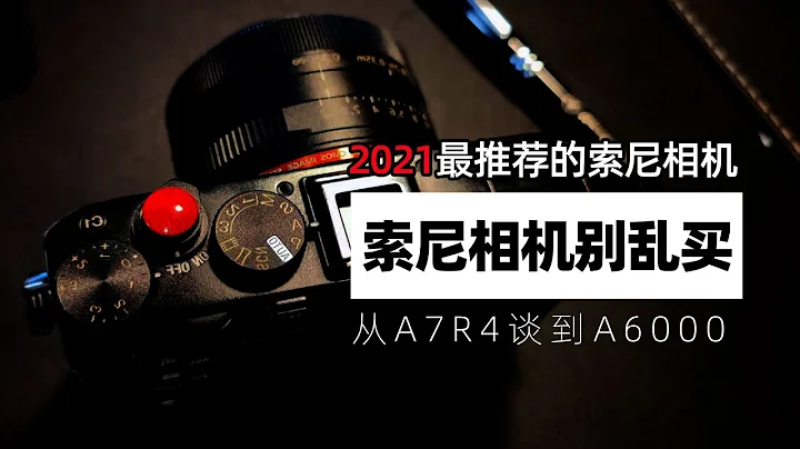 尋找最值得買的索尼相機，從A7R4，A7S3，A7C聊到A6000「機道No.151」 - 天天要聞