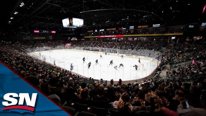 Arizona Coyotes' Bid For New Arena Appears To Be Rejected