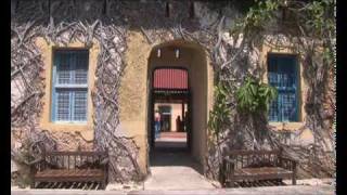 Gallery Tours, ,Zanzibar - Prison Island Tour