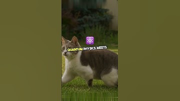 🐱📦 Schrödinger’s Cat is Over It! | Quantum Physics Joke 😂
