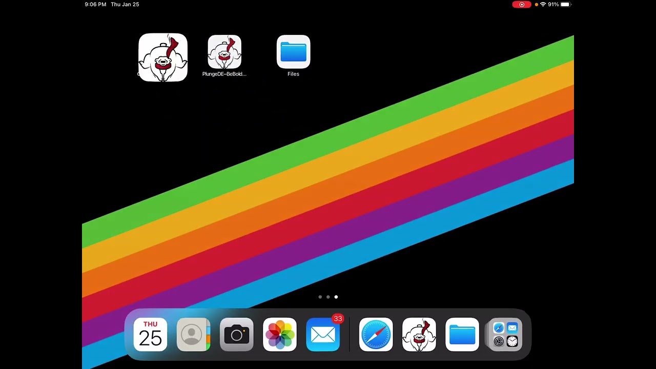 SODE Polar Bear Plunge Volunteer Training