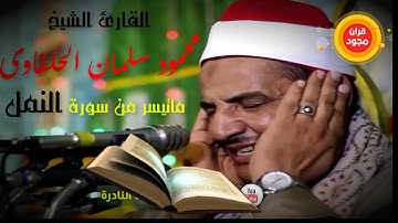 الشيخ محمود سالمان الحلفاوي ماتيسر من سورة النمل