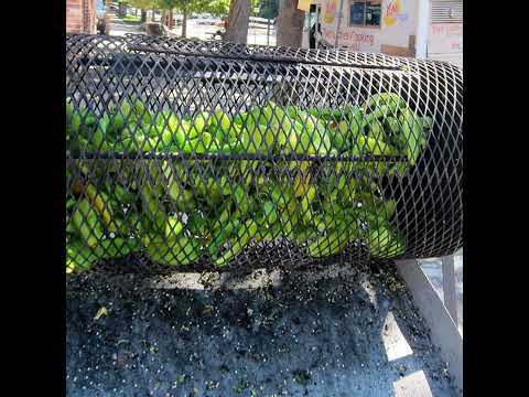 Colorado Proud: Why do 'Palisade' peaches, 'Pueblo' chiles matter so much to consumers? (ENCORE E...