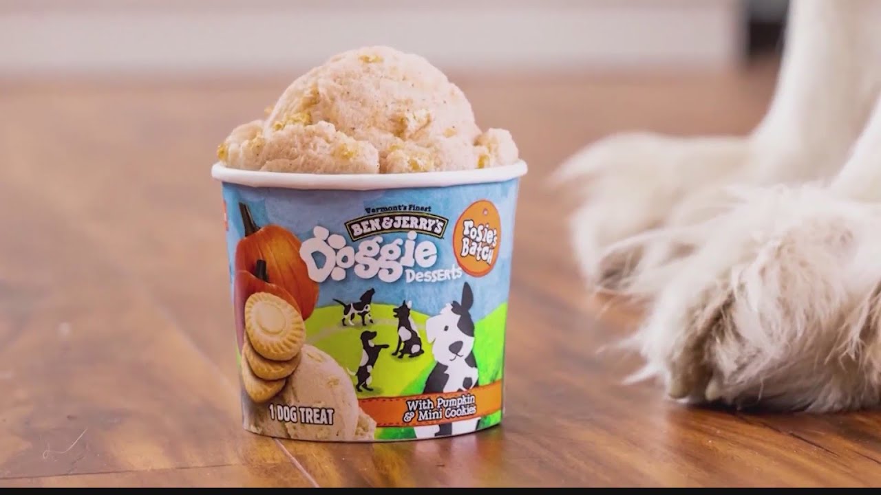 Ben and Jerry's Release "Doggie Desserts"