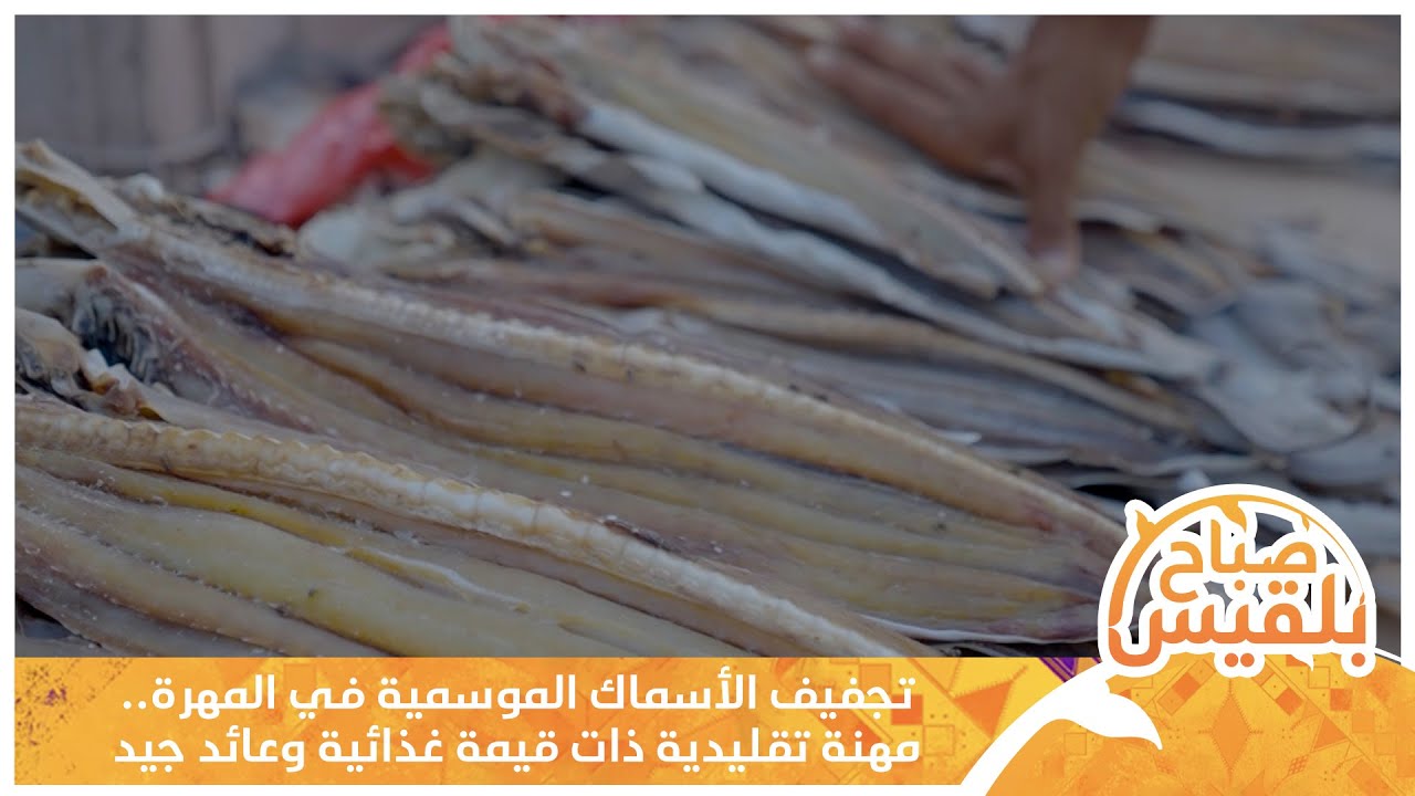 تجفيف الأسماك الموسمية في المهرة.. مهنة تقليدية ذات قيمة غذائية وعائد جيد | تقرير: ياسر محمد