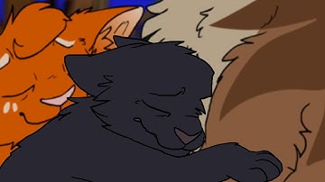 Hollyleaf ~ Skeleton Song MAP Part 15