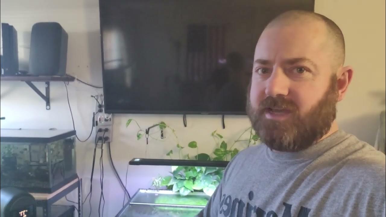 How to Disinfect Fish Nets & Other Aquarium Equipment Prevent Cross