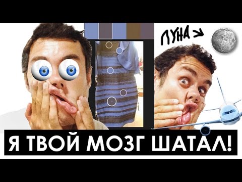 видео: 5 чувств которые вас обманывают (#thedress) - ТОПЛЕС