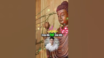 Tại sao khi ăn thực vật cơ thể lại dễ tiêu hoá hơn ăn các thức ăn nguồn gốc động vật thể...