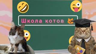 Мурка в школе котов , 1 серия