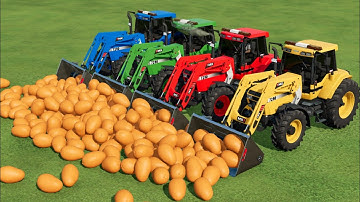 MANGO LOADING WITH TRACTOR LOADER & TRANSPORT TRUCK IN FS22 | FARMING SIMULATOR 22