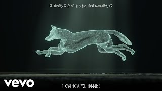 Years & Years - Coyote (Lyric Video)