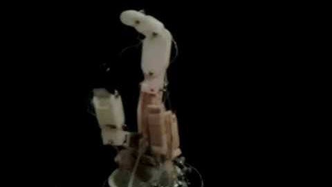 Prototype Demonstration Video