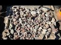 Rock hounding, Mojave, Desert, California ￼