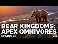 Bear Kingdoms: Apex Omnivores | Episode 34 | AI Wildlife Documentary | Algorithm's Eyes