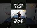 Prone Scap Forward Rotation #exercise #rehabilitation #youtubeshorts #physicaltherapy #rehab