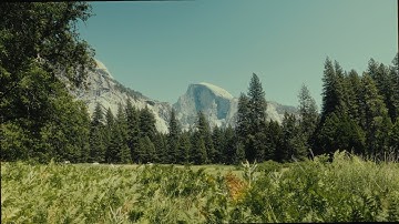 Canon R6 Mark II: No IBIS, No Problem?