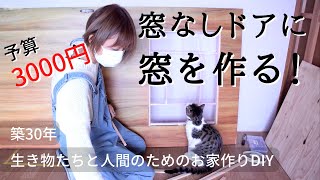 #35【DIY】室内ドア引き戸をリメイク予算3000円で窓を付けて明るくしたら猫も見えるー♪築30年お家DIY