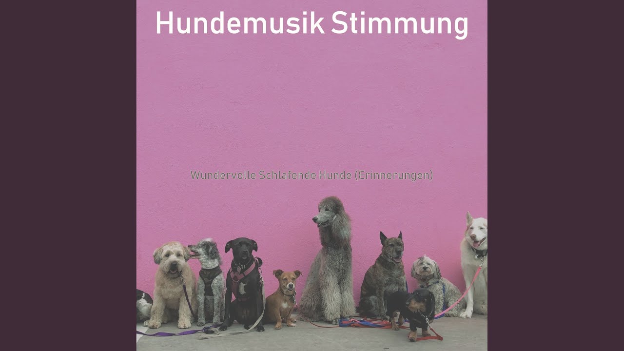 Deutsche Hundemusik - YouTube