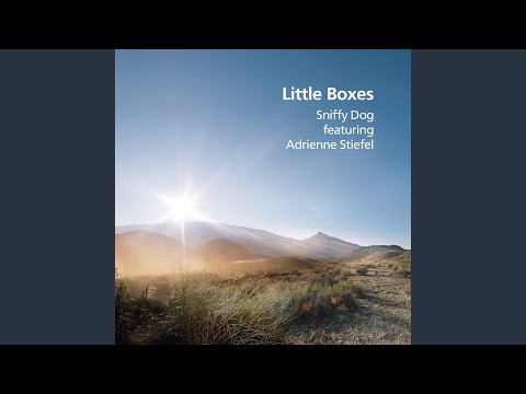 Little Boxes (feat. Adrienne Stiefel)