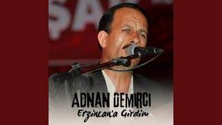 Ham Meyvayı Kopardılar Dalından