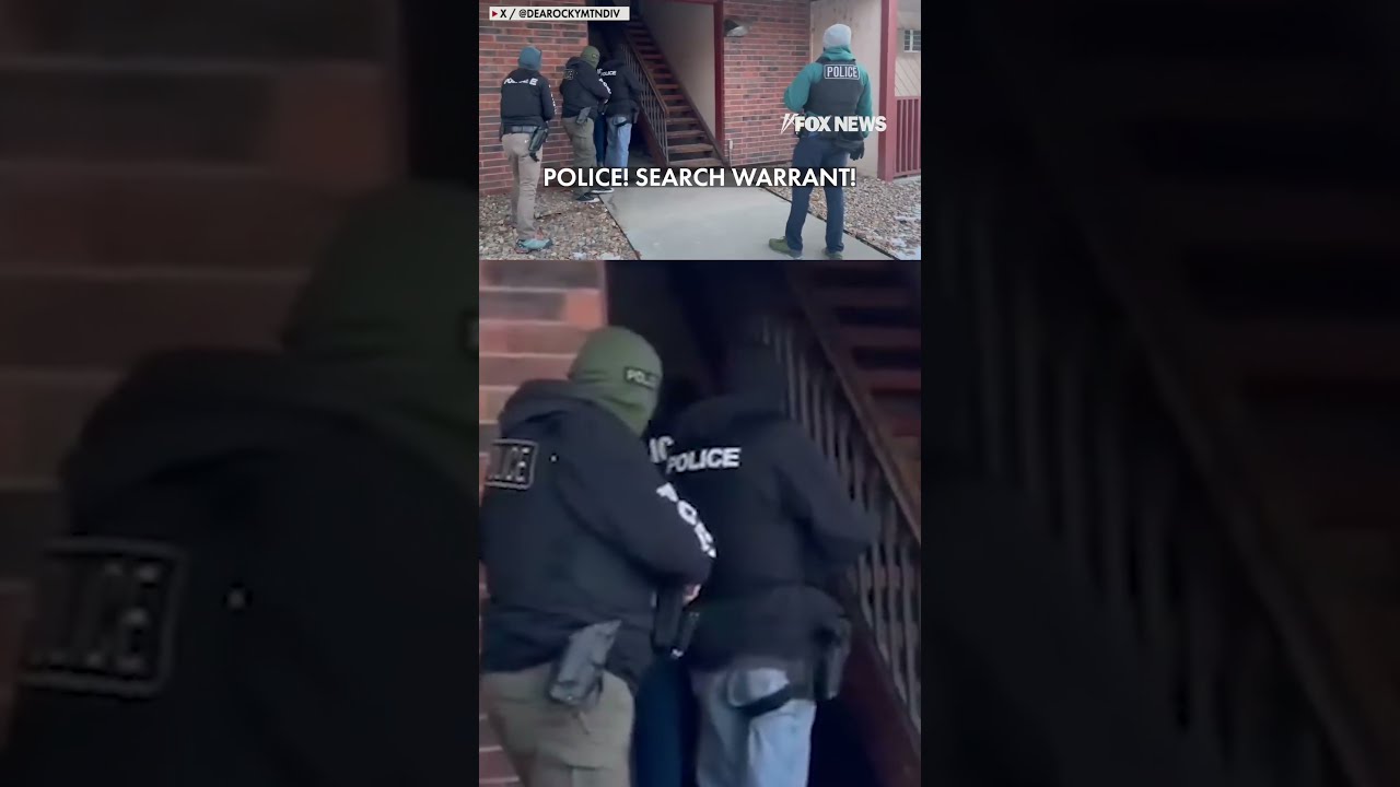ICE Busts Cartel Connected Illegal Aliens As Trump Admin Ramps Up Hunt