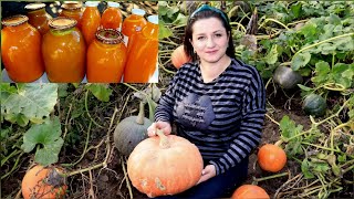 : ()  -     -Pumpkin Juice--