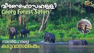 Coorg Forest | Veeranahossahalli Safari in Nagarhole Tiger Reserve. by Pikolins Vibe 558,735 views 7 months ago 26 minutes