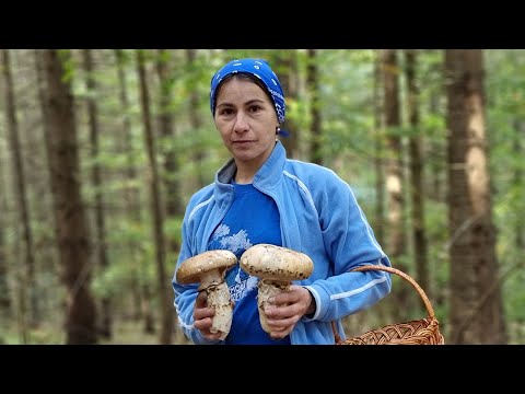 THE WOMAN LIVES ALONE IN THE MOUNTAINS. COOKING MUSHROOM SOUP