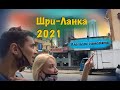 Шри-Ланка 2021 ( улетели зимовать )