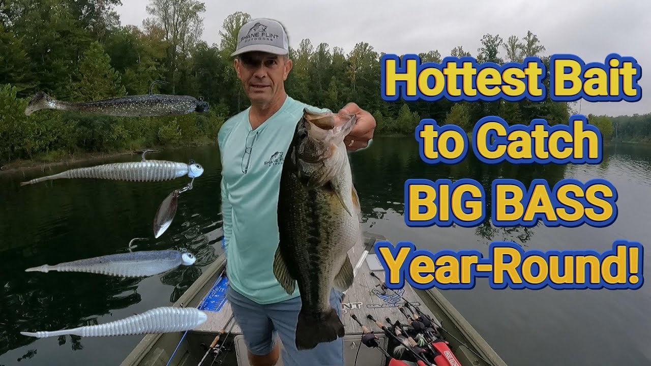 Hottest Year-round Bass Fishing Technique!