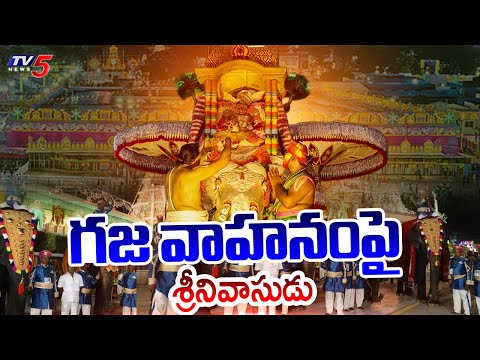 గజ వాహనంపై శ్రీనివాసుడు : Tirumala Brahmotsacalu 2025 | Gaja Vaahana Seva | TTD | TV5 News - TV5NEWS