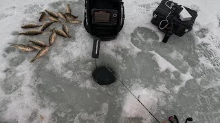 Yellow Perch Fishing by FFK 507 views 3 months ago 26 minutes