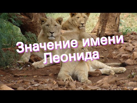 Значение имени Леонида. Толкование, судьба, характер