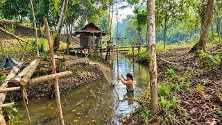 Living Off the Land: Catching Wild Fish & Cooking in our Remote Jungle Hut screenshot 3