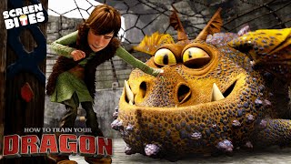Training With Toothless | How To Train Your Dragon (2010) | Screen Bites