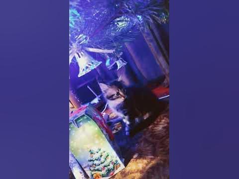 летс го - YouTube