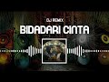 DJ REMIX BIDADARI CINTA 「Andra Respati ft. Gisma Wandira」