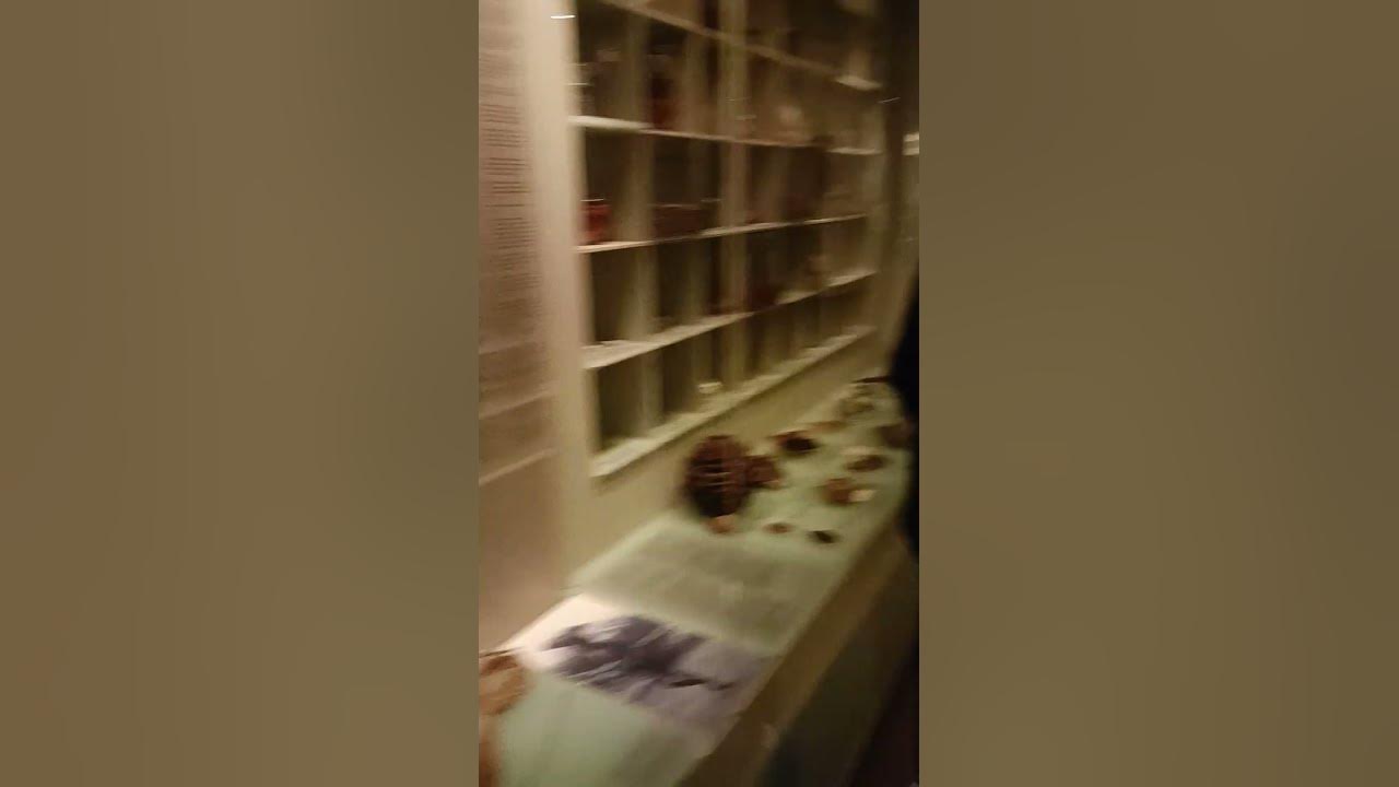 Adelaide Art&History Museum YouTube