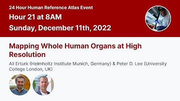 24 Hour Human Reference Atlas Event - Hour 21 - Mapping Whole Human Organs at High Resolution