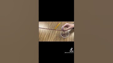 Adhesion and cohesion