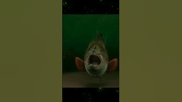 You can find intros like this and more on my YouTube channel. #shorts #intromaking #channel #edit