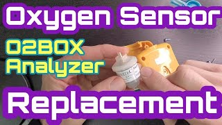 Gas Sensor Replacement (FD-O2BOX)