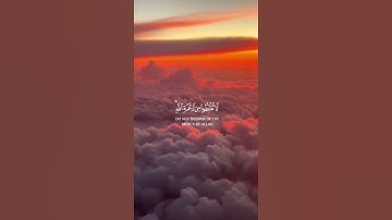 ما تيسر من سورة الزمر | القرآن الكريم | القارئ ياسر الدوسري